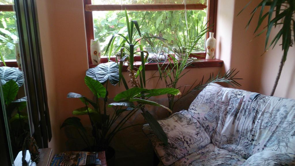 Boris Apartman Apartment Gyula Luaran gambar